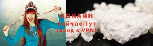 трава Новодвинск