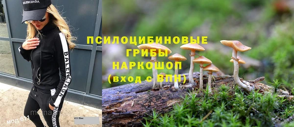 mdma Новозыбков