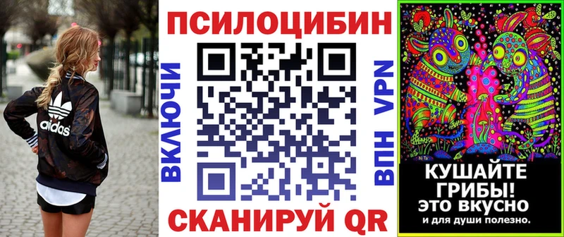 закладка Невьянск Галлюциногенные грибы Magic Shrooms